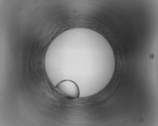 X0000110770320200906151000