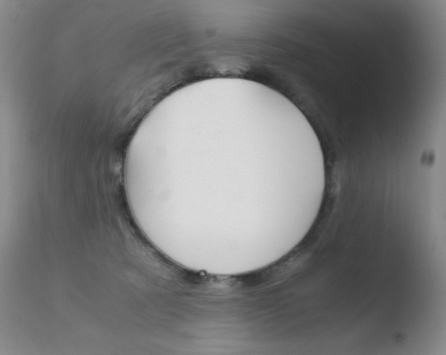 X0000110770321200906151000