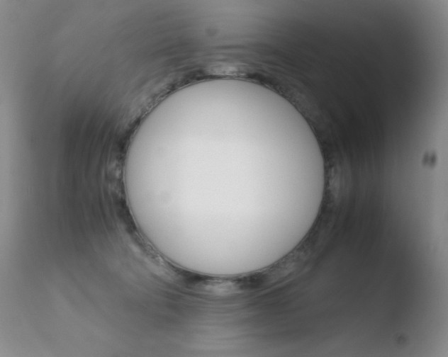 X0000110770322200906151000