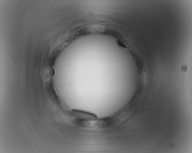 X0000110770323200906151000