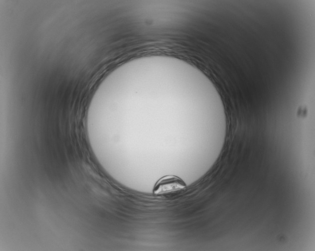 X0000110770324200906151000