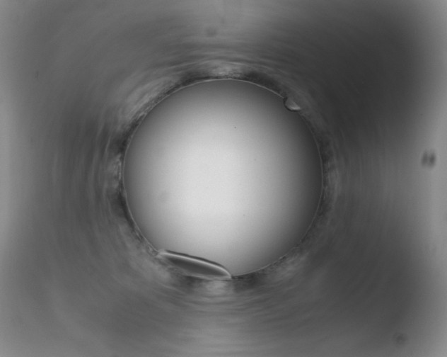 X0000110770325200906151000