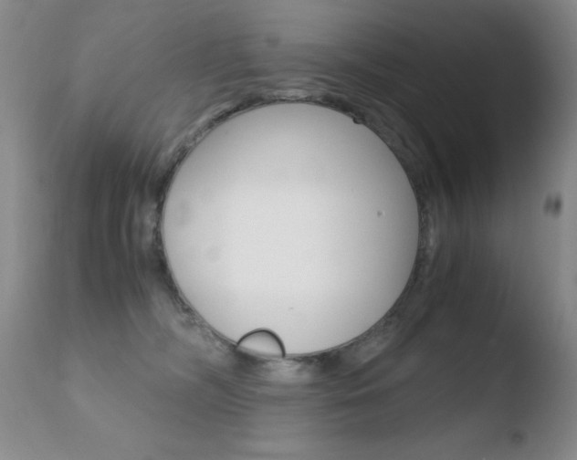 X0000110770326200906151000