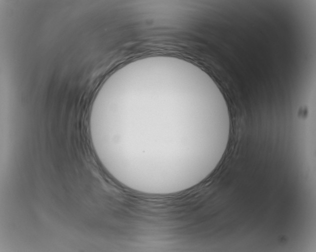 X0000110770327200906151000