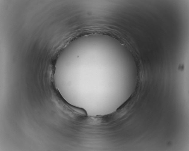 X0000110770328200906151000