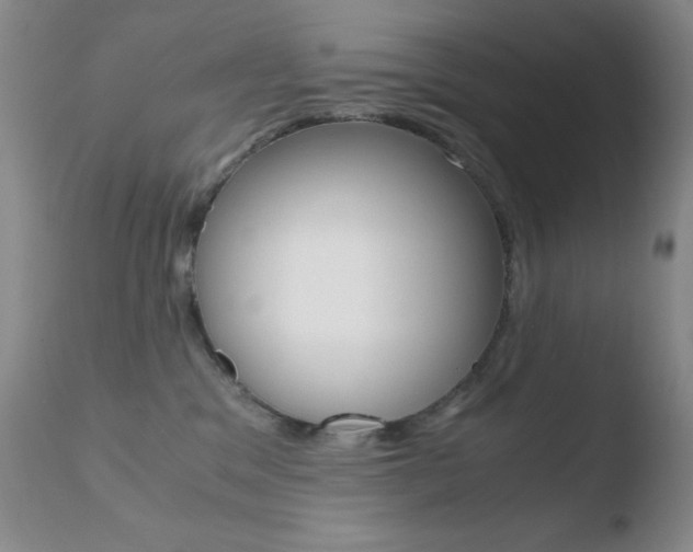X0000110770329200906151000