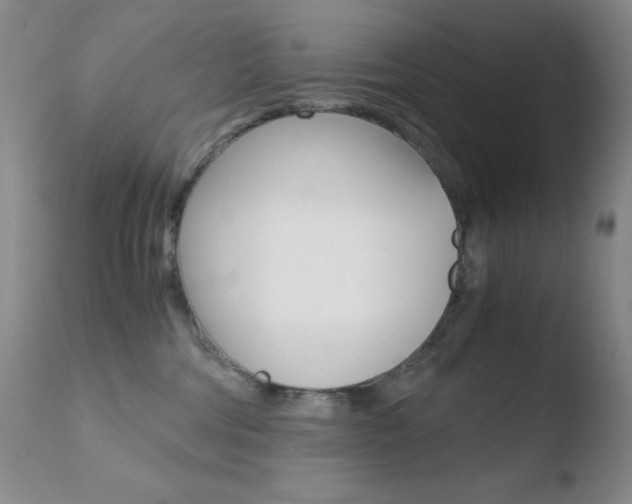 X0000110770330200906151000