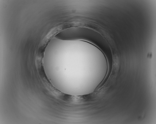 X0000110770333200906151000
