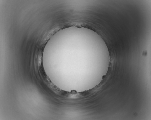 X0000110770334200906151000