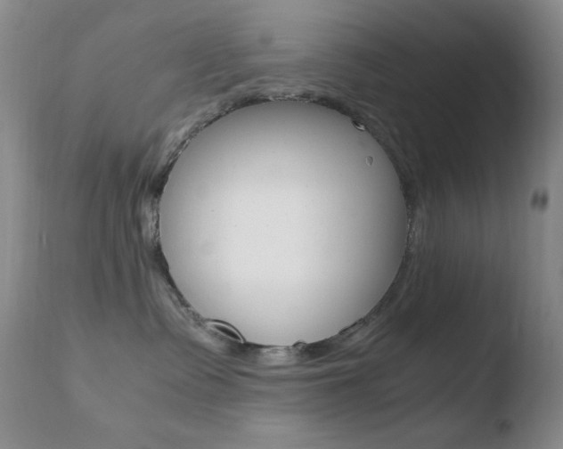 X0000110770335200906151000