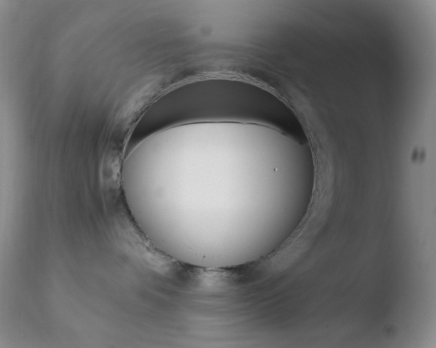 X0000110770336200906151000