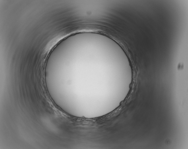 X0000110770337200906150959