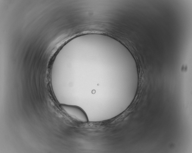 X0000110770338200906150959