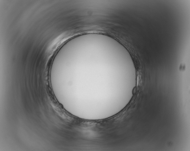 X0000110770339200906150959