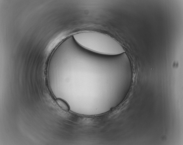 X0000110770341200906150959