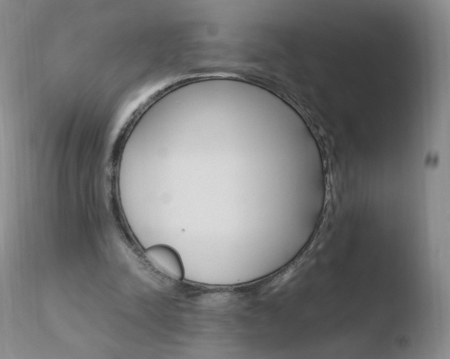 X0000110770342200906150959