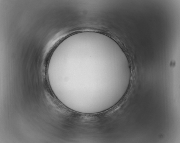 X0000110770343200906150959
