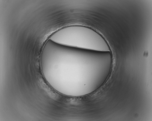 X0000110770345200906150959