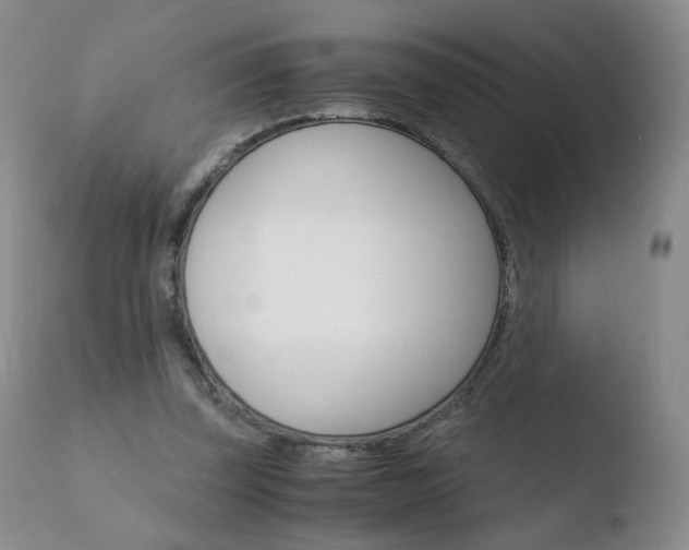X0000110770347200906150959