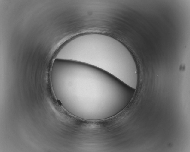 X0000110770348200906150959