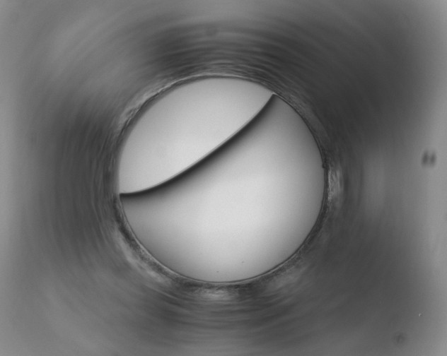 X0000110770349200906150959