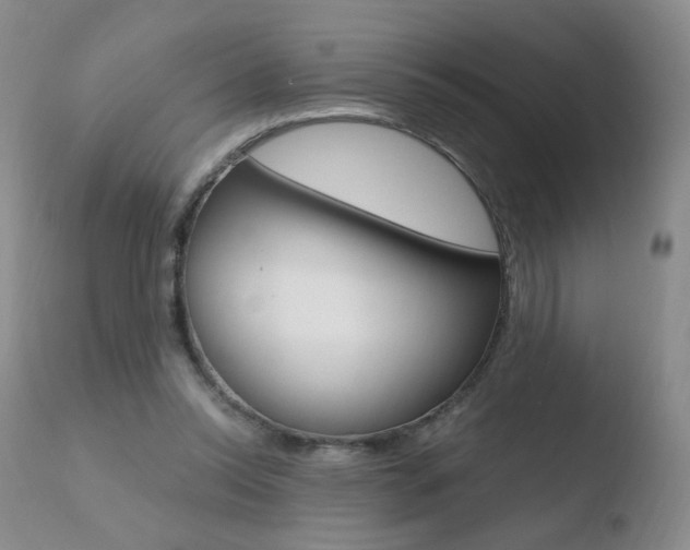 X0000110770350200906150959