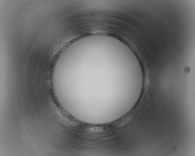 X0000110770353200906150959