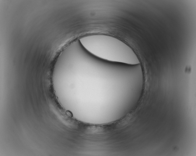 X0000110770354200906150959