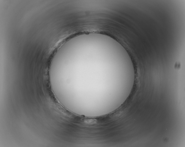 X0000110770355200906150959