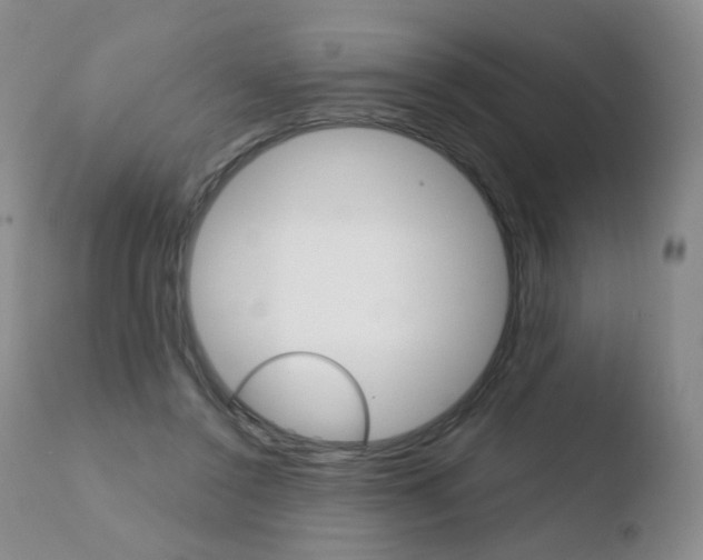 X0000110770356200906150959