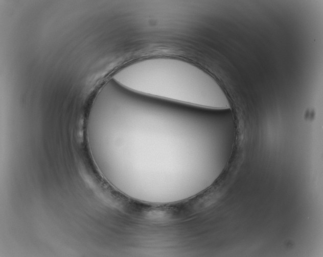 X0000110770358200906150959