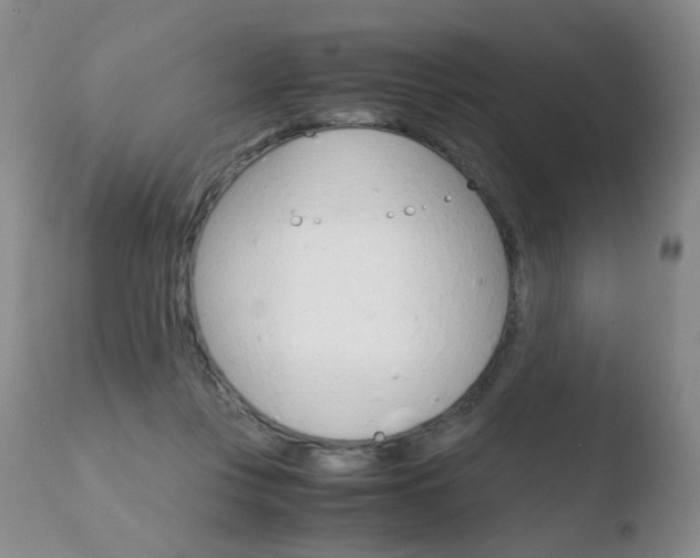 X0000110770359200906150959