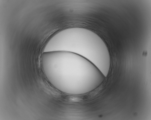 X0000110770360200906150959