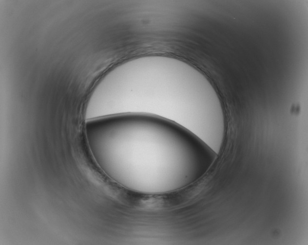 X0000110770362200906150959
