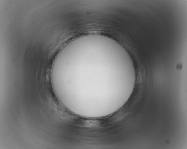 X0000110770363200906150959