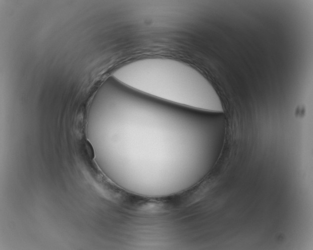 X0000110770364200906150959