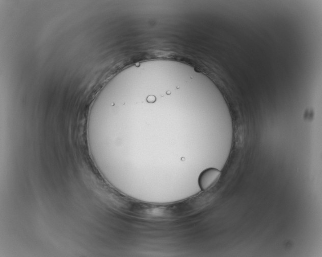 X0000110770365200906150959
