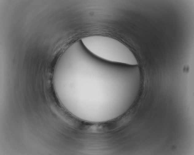 X0000110770366200906150959