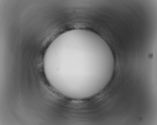 X0000110770367200906151000
