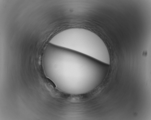 X0000110770368200906151000