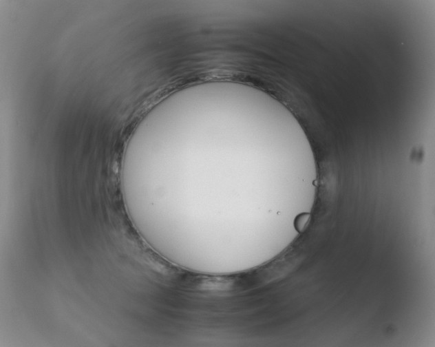 X0000110770369200906151000