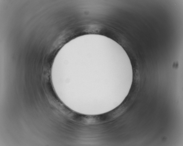 X0000110770370200906151000