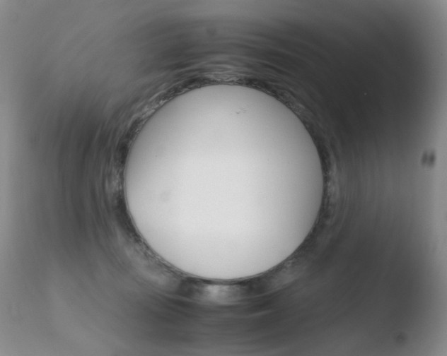 X0000110770371200906151000