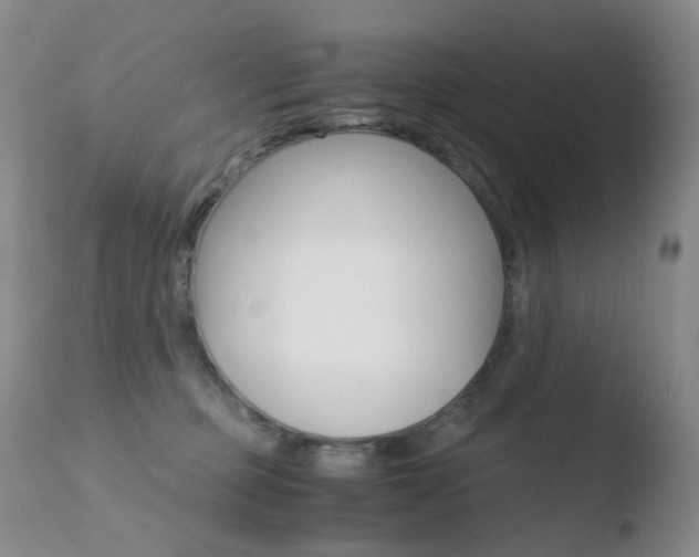 X0000110770373200906151000