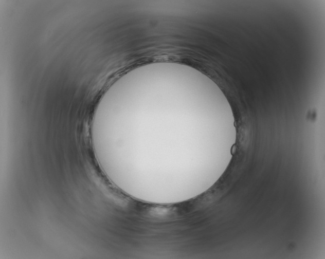 X0000110770375200906151000