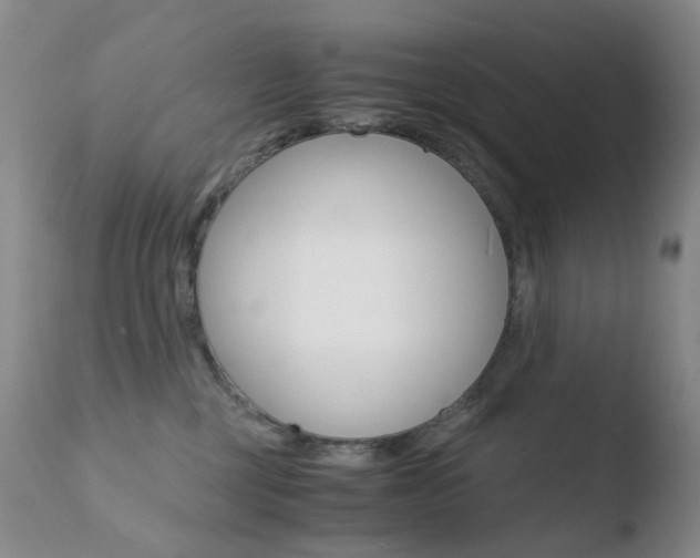 X0000110770377200906151000