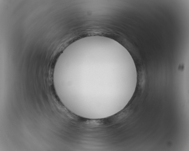 X0000110770378200906151000