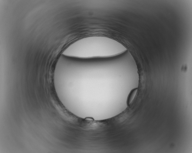 X0000110770379200906151000