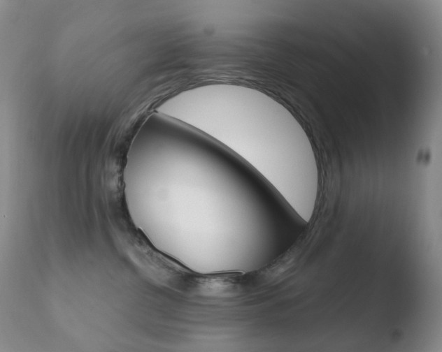 X0000110770380200906151000