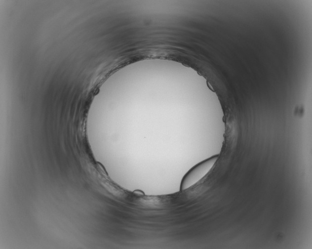 X0000110770381200906151000